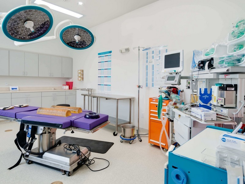 Hospitals and Healthcare