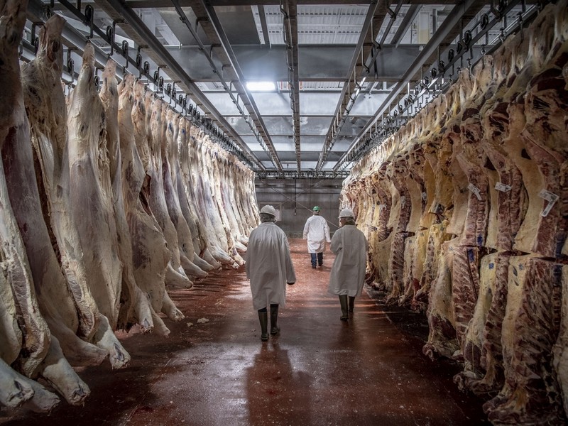 Poultry and Meat Facilities